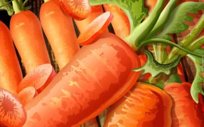 Jak bardzo marchewka pomoże Ci w diecie